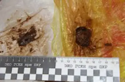 наркокурьеры