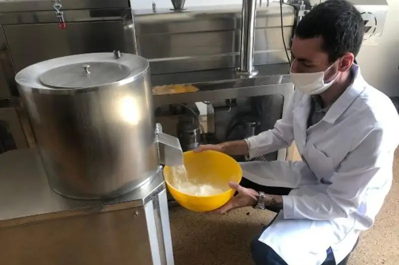 Технологию использования зернобобовых для обогащения пшеничной муки разработали казахстанские ученые