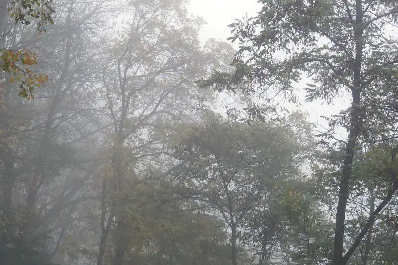 Метель, туман и гололед ожидаются 7 октября в нескольких регионах Казахстана