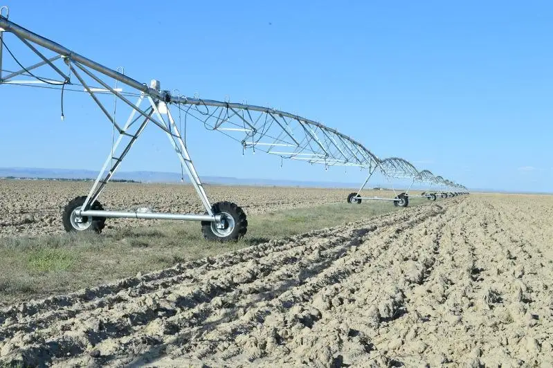 Применяемым туркестанскими аграриями методом дождевального полива интересуются соседние регионы