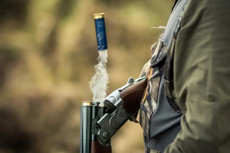 Более 10 экологических преступлений выявили полицейские в Туркестанской области