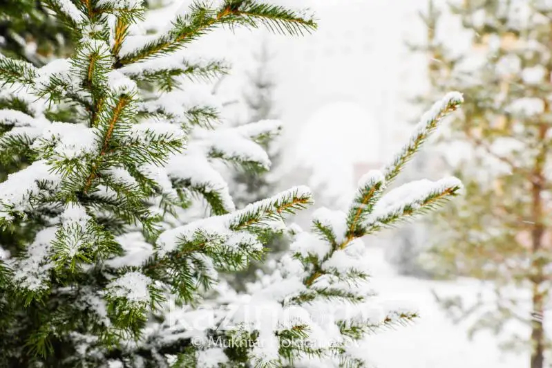 Какой будет погода в Казахстане в выходные