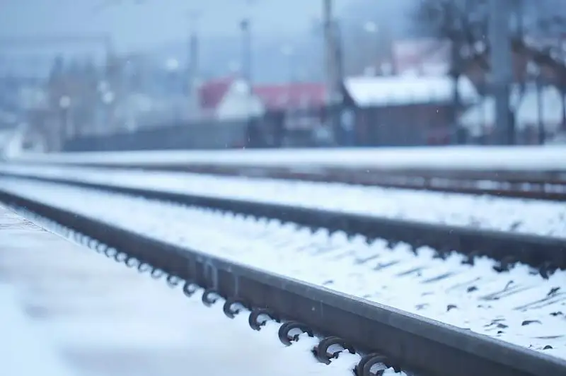 Грузовой поезд наехал на 37 лошадей в Акмолинской области