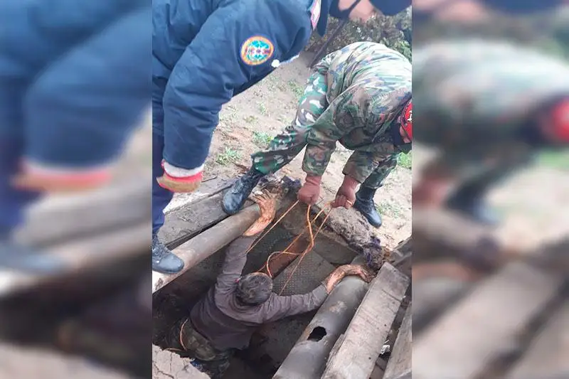 В Семее мужчина едва не погиб, доставая из выгребной ямы телефон