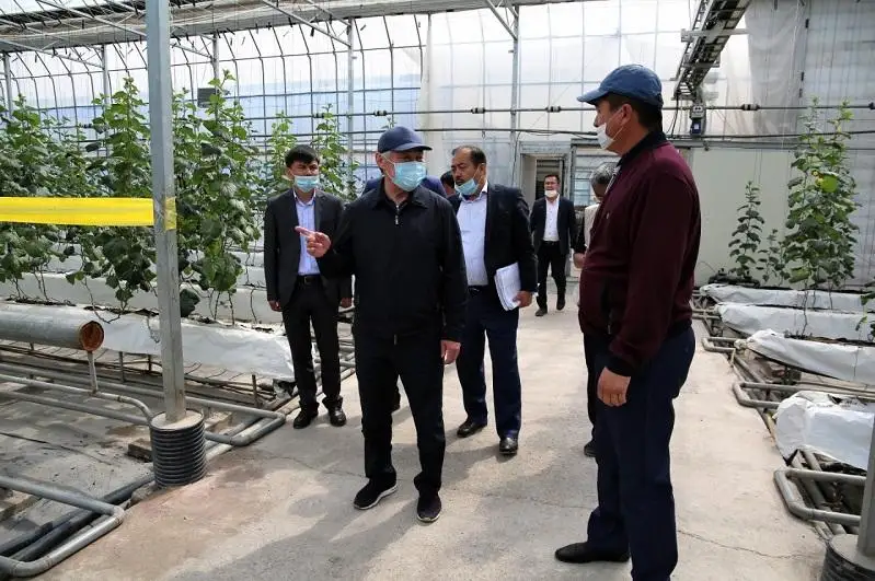 Эффективность пилотного проекта по повышению доходов сельчан рассмотрят в  Жамбылской области