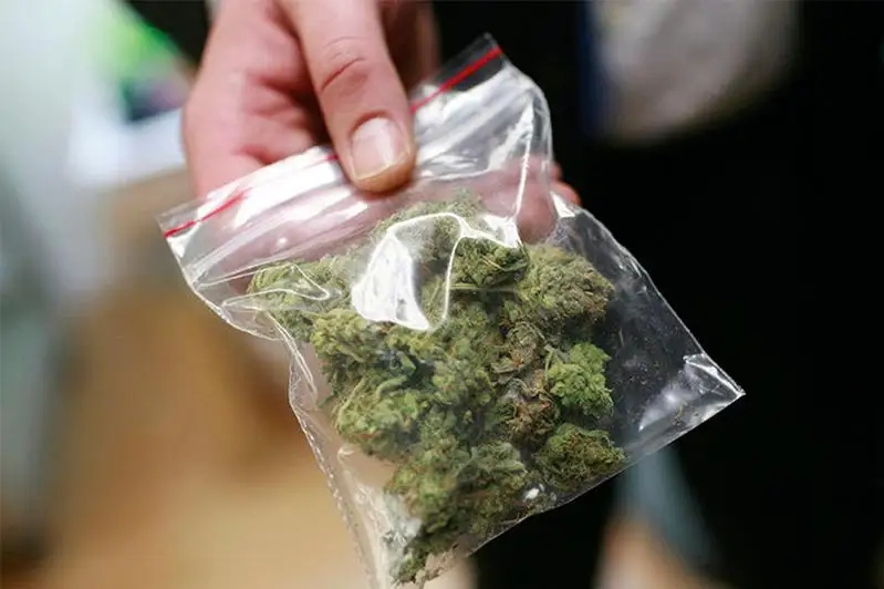 Попытка сбыта более 1 кг гашиша пресечена в Алматинской области