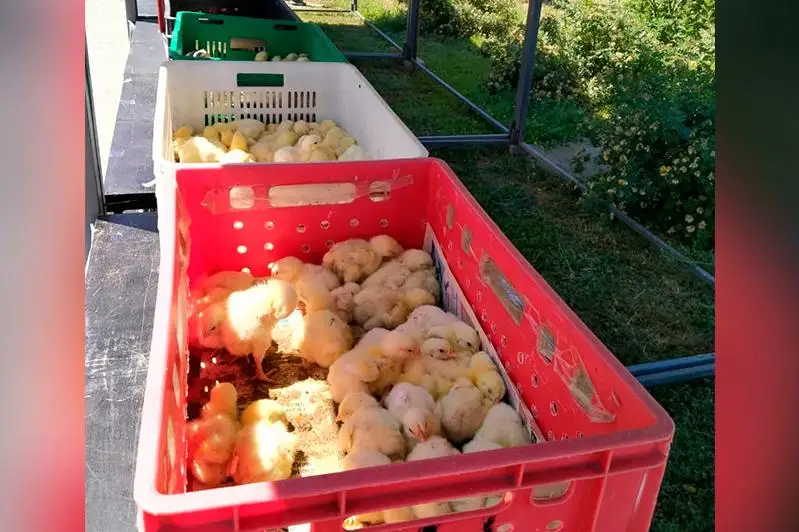 Программа «Енбек Балапан» стартовала в ЗКО