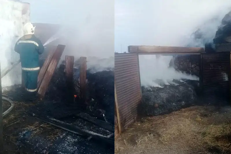 Дети случайно сожгли 12 тонн сена в ВКО
