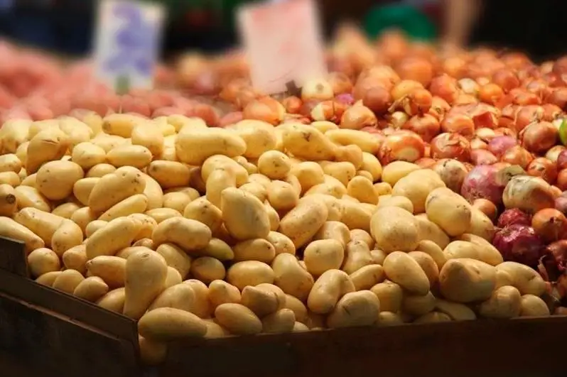 Насколько вырос объем сельхозпродукции в 2020 году, рассказал Аскар Мамин