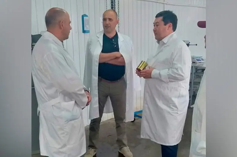 Производство тушенки наладили в одном из районов СКО