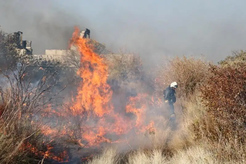 45 дачных участков сгорели в Караганде