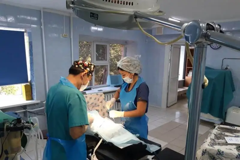 Мальчикам из многодетных семей делают бесплатное обрезание в Карагандинской области