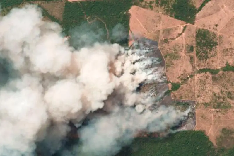 Тропические леса горят в бразильской Амазонии