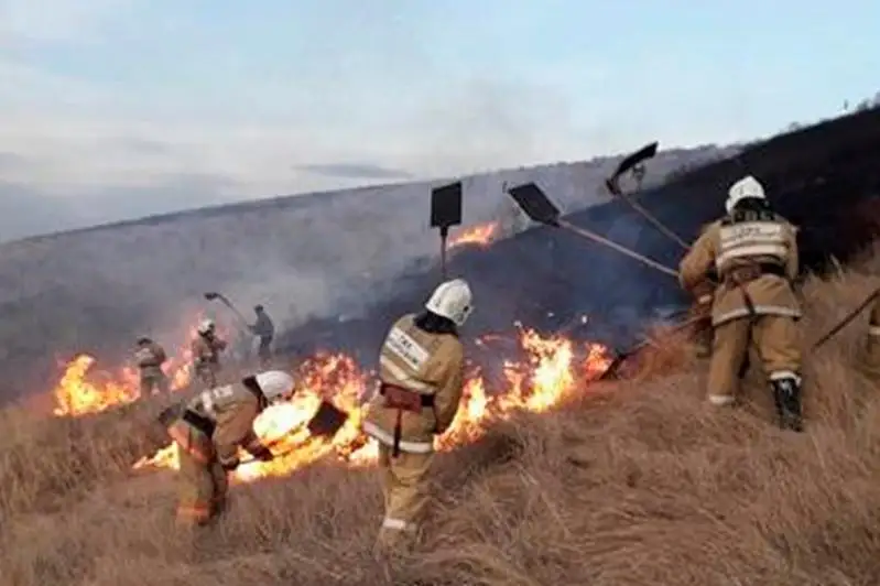 Загорание травы создало угрозу домам в поселке ВКО