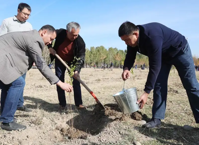 19 тысяч саженцев посадили в Жамбылской области