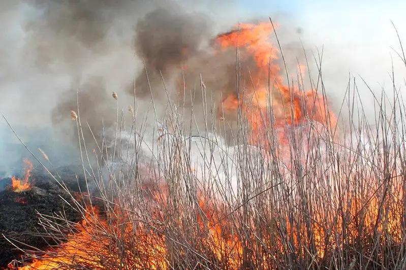 Несколько крупных пожаров произошли в ВКО