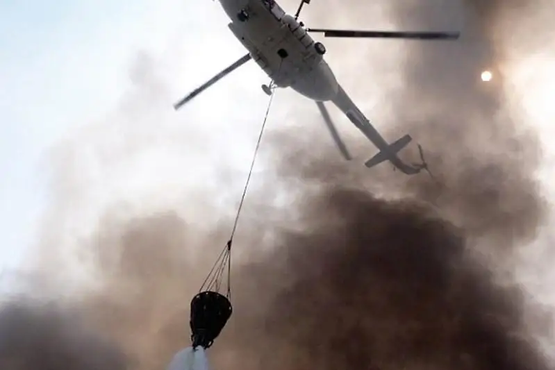 В ДЧС Алматы назвали причину прошедших крупных пожаров