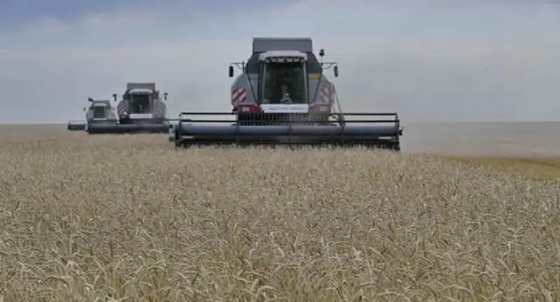 В Павлодарской области приступили к уборке урожая