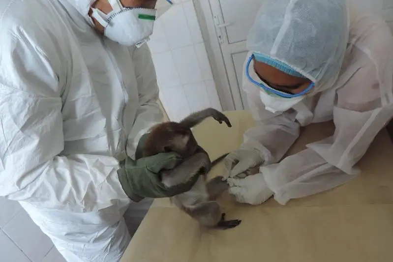 Казахстанская вакцина от коронавируса показывает безопасность - ученые