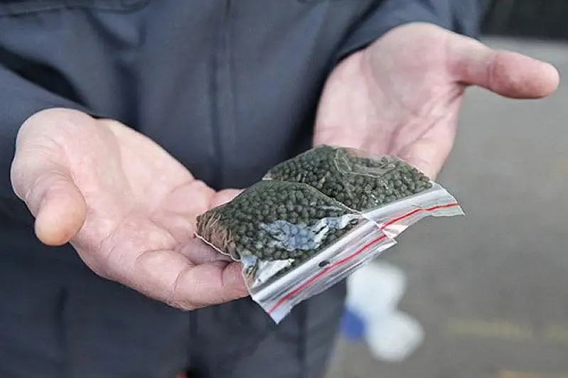 До 300 тысяч рублей повысили в России штраф за продажу несовершеннолетним насвая и снюса