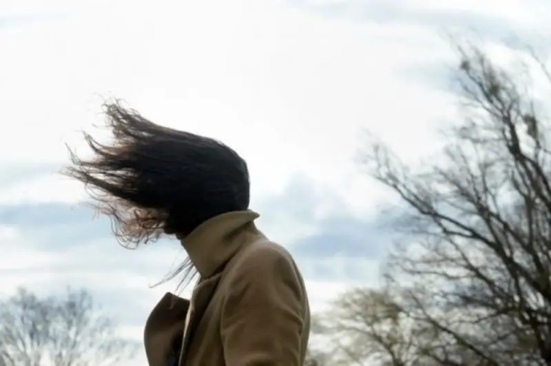 Сильный ветер и заморозки: штормовое предупреждение объявлено в трех областях РК