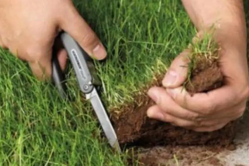 Чиновников наказали за нарушения при оформлении земельных участков в Павлодарской области