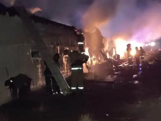 Пожар в  Жамбылской области уничтожил крышу птичника и сотню домашних птиц