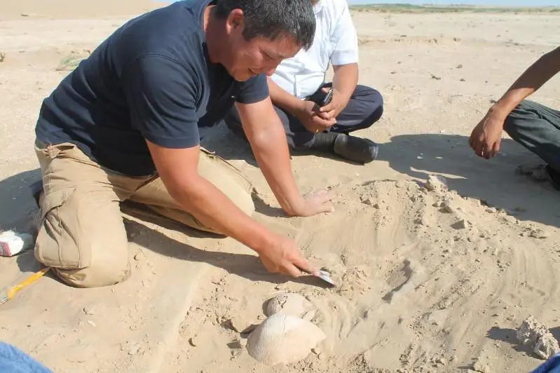 В актюбинских степях обнаружены останки древнего мальчика