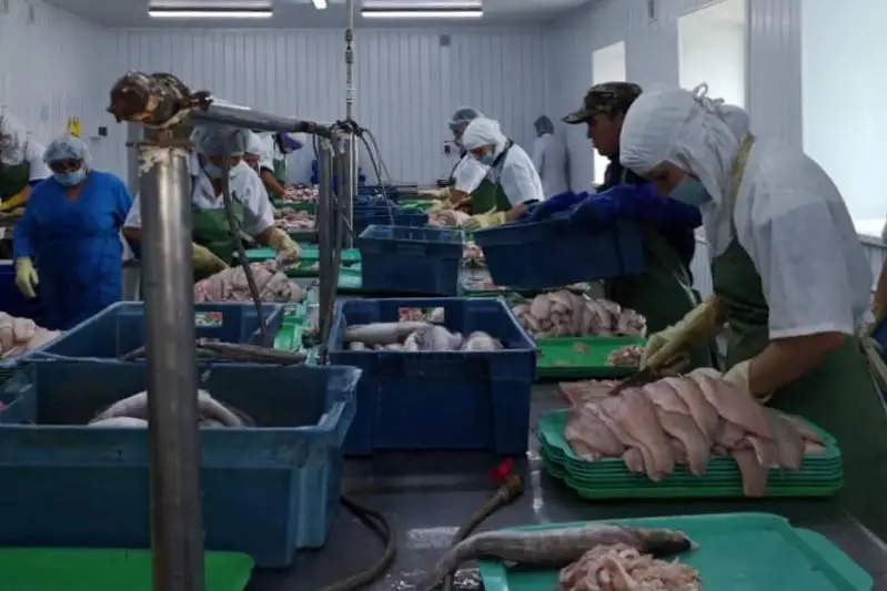 300 тонн форели и осетра вырастили в ВКО