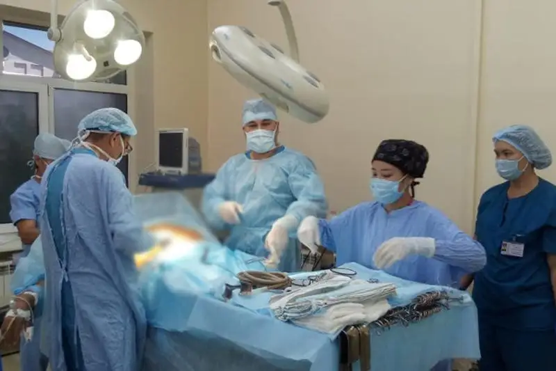 Врачи спасли две жизни: паразиты атаковали печень беременной женщины