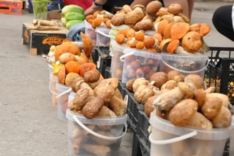 В Нур-Султане внедряется единый стандарт уличной торговли