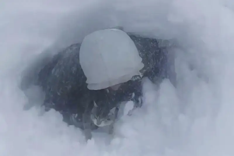 Спасатели Аркалыка откопали из сугробов землянку с двумя мужчинами и кошкой