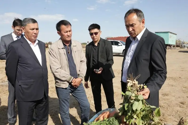 Свыше 25 тысяч жамбылцев могут стать участниками пилотного проекта по росту доходов