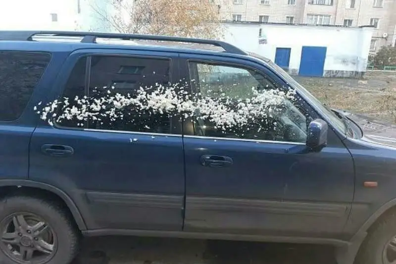 Монтажной пеной залил машины злоумышленник в Петропавловске