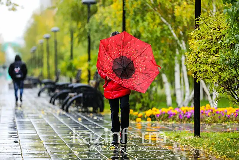 Усиление ветра прогнозируют в четырех областях Казахстана