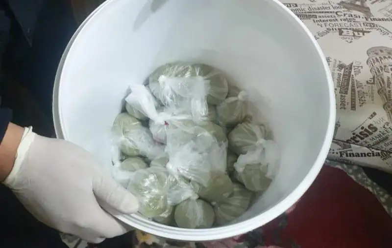 В Нур-Султане задержан наркоторговец с 20 килограммами гашиша на 30 млн тенге