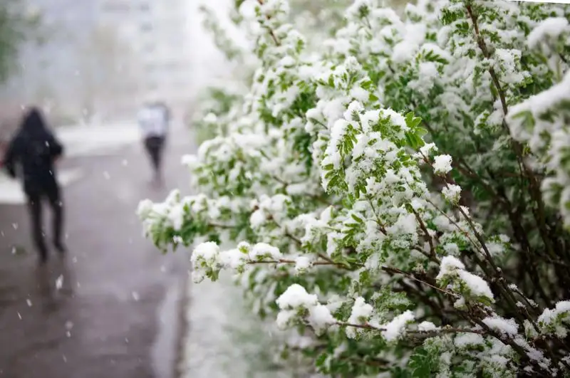 Погоду без осадков, но с понижением температуры обещают синоптики казахстанцам