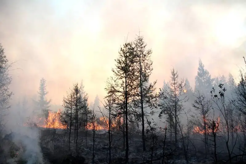 Садвакас Байгабулов: Дым в Нур-Султан принесен ветром из Сибири