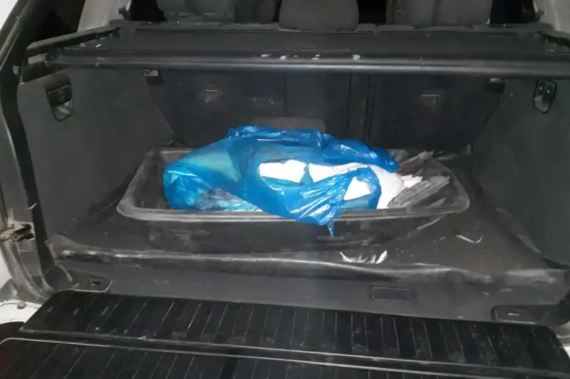 Убитого лебедя обнаружили в багажнике у североказахстанца