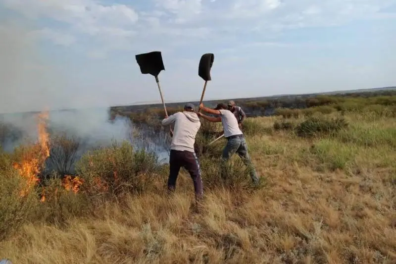 Еще два степных пожара возникли в Каркаралинском районе Карагандинской области
