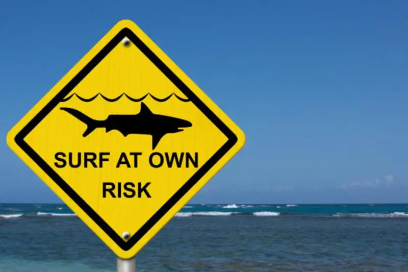 Акула напала на украинских туристов в Египте, ребенок в реанимации