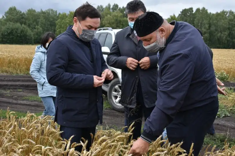 Социальные объекты и дороги ремонтируют в районах Акмолинской области