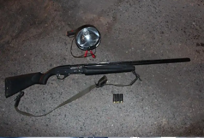 Подозреваемого в отстреле краснокнижного джейрана задержали в Алматинской области