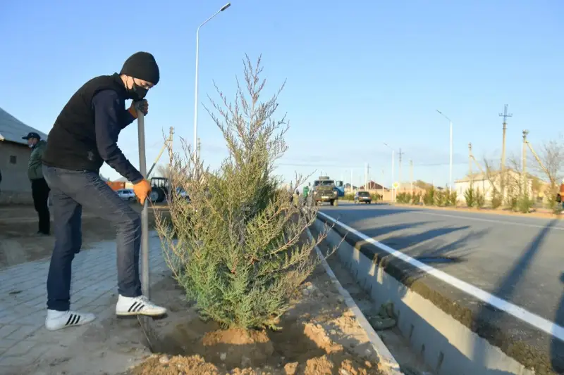 Келесовцы вносят вклад в озеленение Туркестана