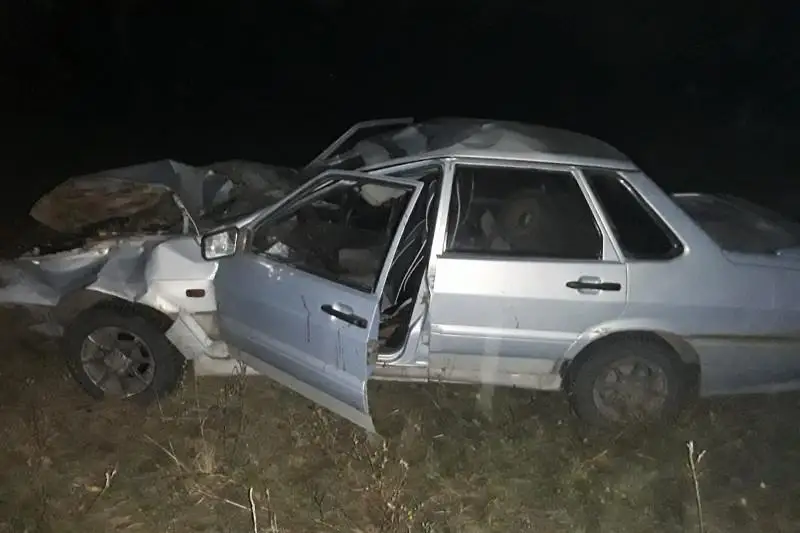 Животные на трассе: две аварии произошли в СКО