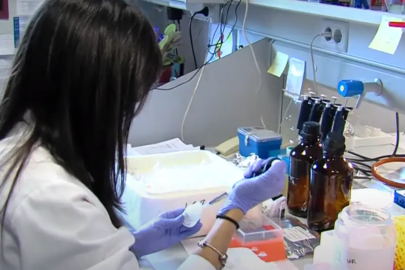 В Мадриде приступают к испытанию вакцины от COVID-19