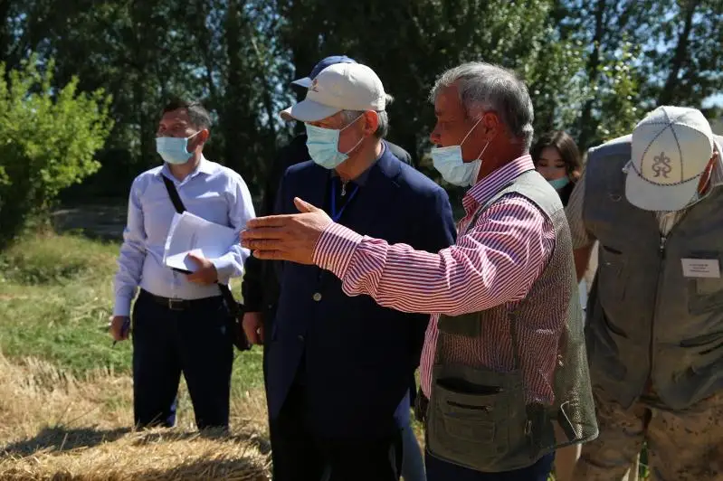 Возродить виноделие планируют в Жамбылской области