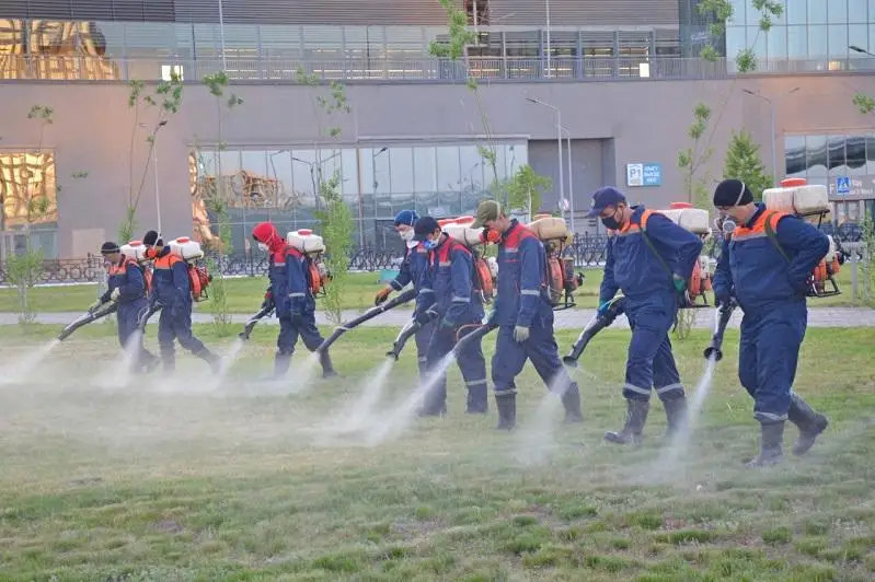 Дворы, парки, улицы, водоемы: 230 млн квадратных метров обработано против комаров в столице