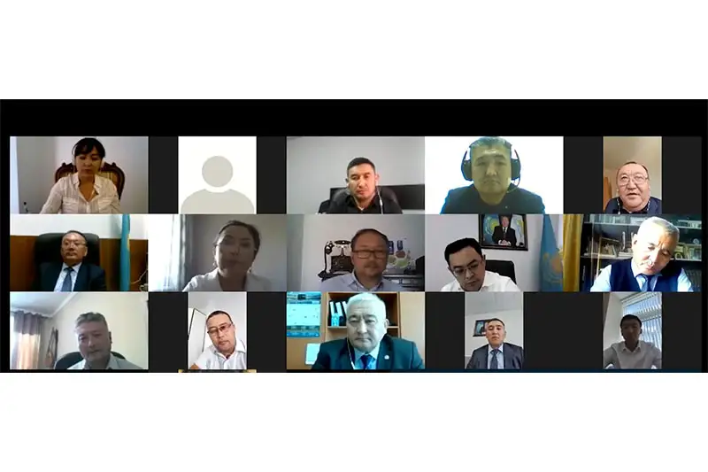 Поддержку праймериз «Nur Otan» выразили соотечественники