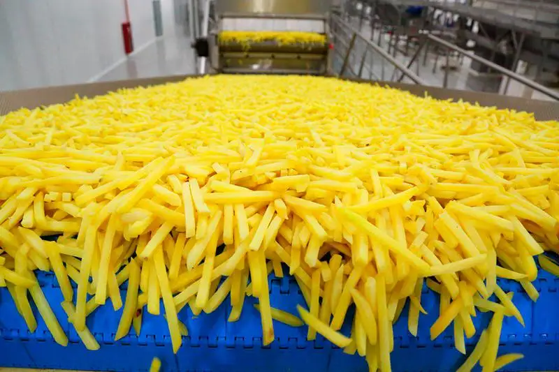 Производство картофеля фри и крахмала запустят в Казахстане в 2020 году